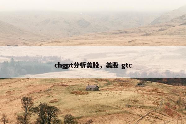 chgpt分析美股，美股 gtc