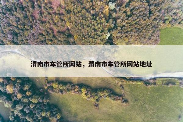渭南市车管所网站，渭南市车管所网站地址