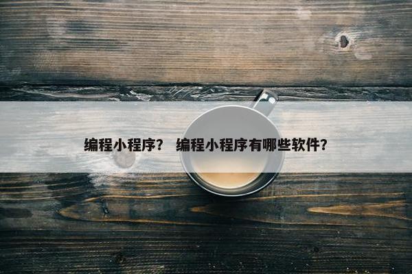 编程小程序？ 编程小程序有哪些软件？