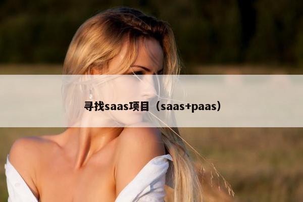 寻找saas项目（saas+paas）