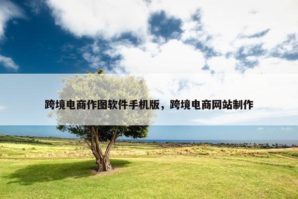 跨境电商作图软件手机版，跨境电商网站制作