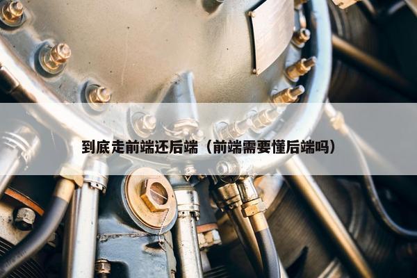 到底走前端还后端（前端需要懂后端吗）