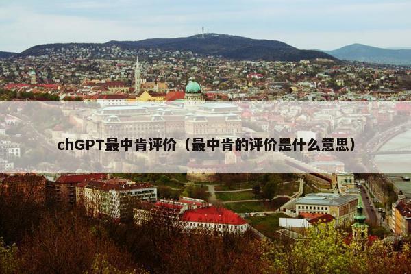 chGPT最中肯评价（最中肯的评价是什么意思）