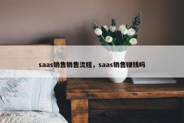 saas销售销售流程，saas销售赚钱吗