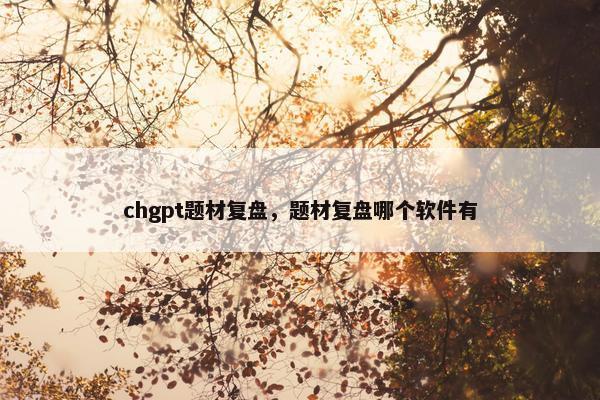 chgpt题材复盘，题材复盘哪个软件有