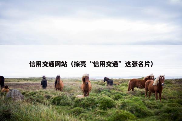 信用交通网站（擦亮“信用交通”这张名片）