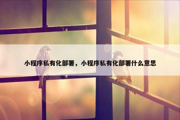 小程序私有化部署，小程序私有化部署什么意思