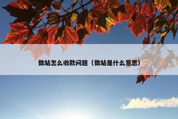 做站怎么收款问题（做站是什么意思）