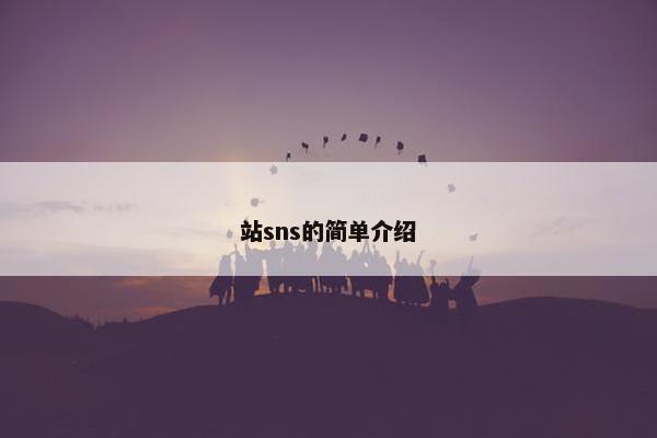 站sns的简单介绍
