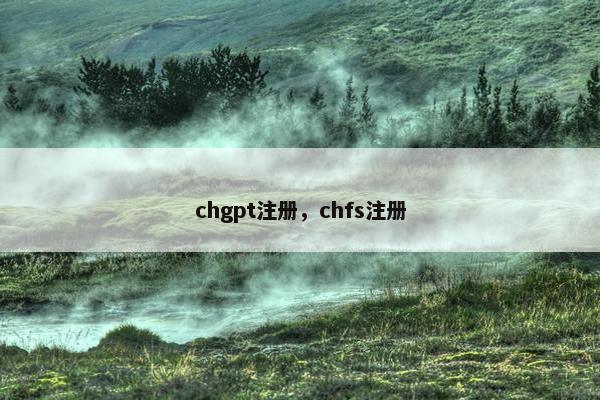 chgpt注册，chfs注册