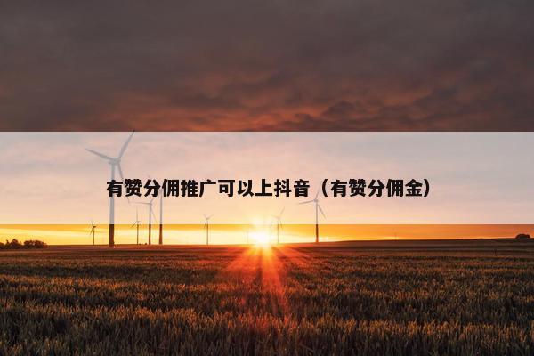 有赞分佣推广可以上抖音（有赞分佣金）