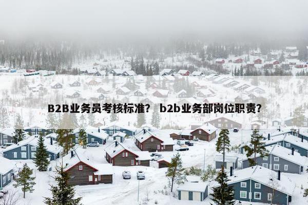 B2B业务员考核标准？ b2b业务部岗位职责？