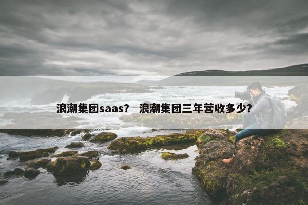 浪潮集团saas？ 浪潮集团三年营收多少？
