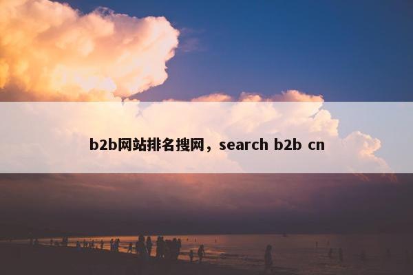 b2b网站排名搜网，search b2b cn