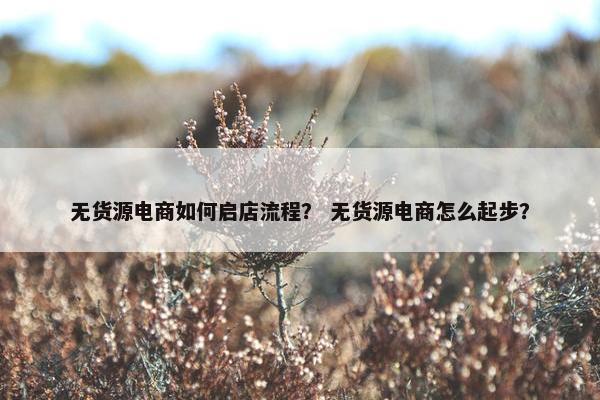 无货源电商如何启店流程？ 无货源电商怎么起步？