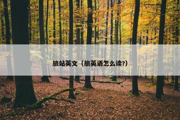 旅站英文（旅英语怎么读?）