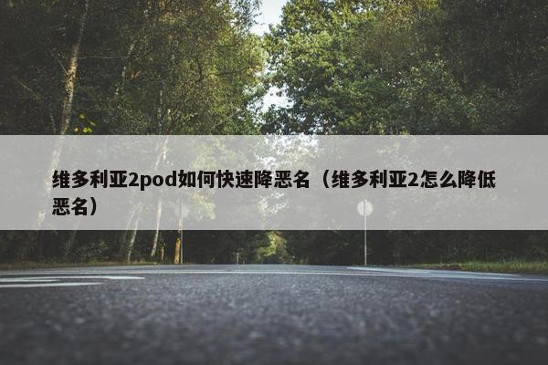 维多利亚2pod如何快速降恶名（维多利亚2怎么降低恶名）
