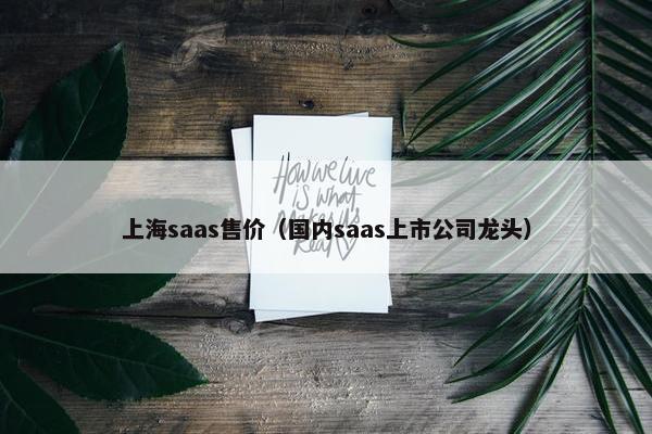 上海saas售价（国内saas上市公司龙头）