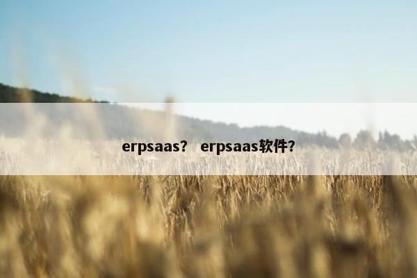 erpsaas？ erpsaas软件？