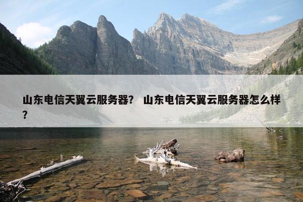 山东电信天翼云服务器？ 山东电信天翼云服务器怎么样？