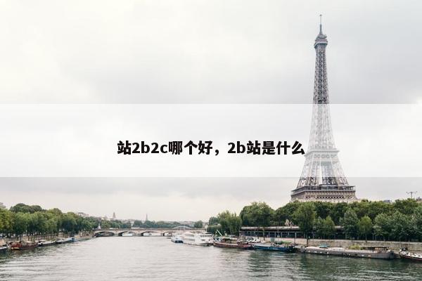 站2b2c哪个好，2b站是什么