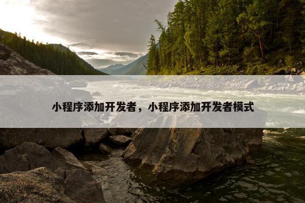 小程序添加开发者，小程序添加开发者模式