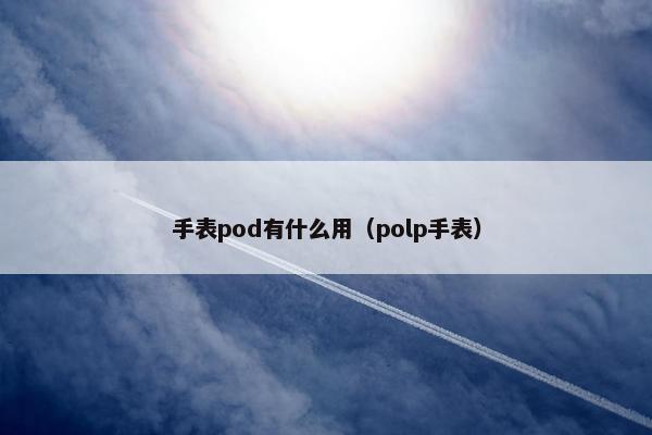 手表pod有什么用（polp手表）