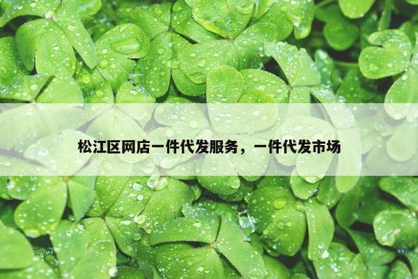 松江区网店一件代发服务，一件代发市场
