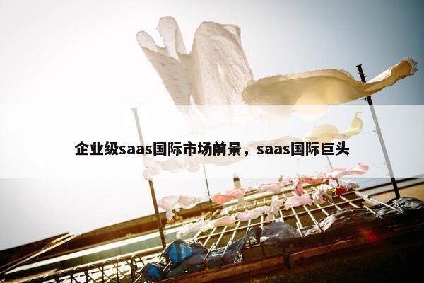 企业级saas国际市场前景，saas国际巨头