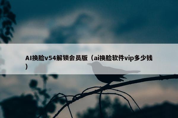 AI换脸v54解锁会员版（ai换脸软件vip多少钱）
