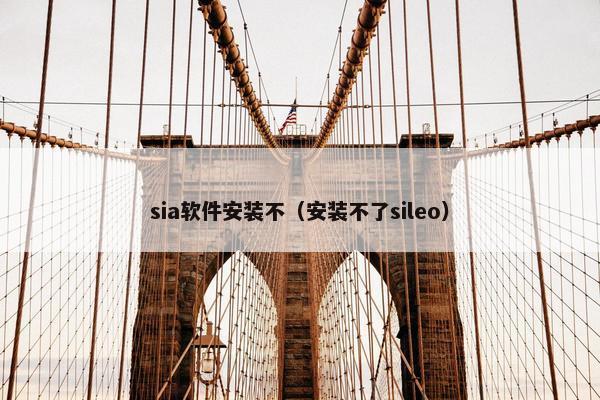 sia软件安装不（安装不了sileo）