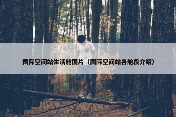 国际空间站生活舱图片（国际空间站各舱段介绍）