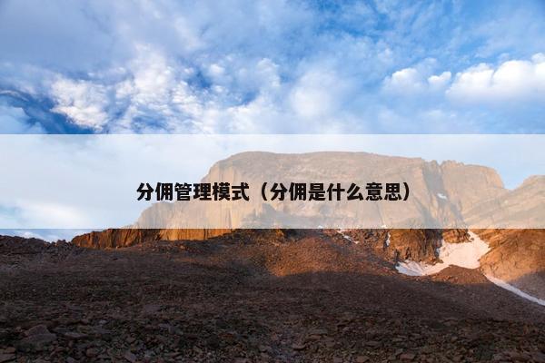 分佣管理模式（分佣是什么意思）
