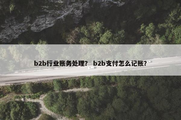 b2b行业账务处理？ b2b支付怎么记账？
