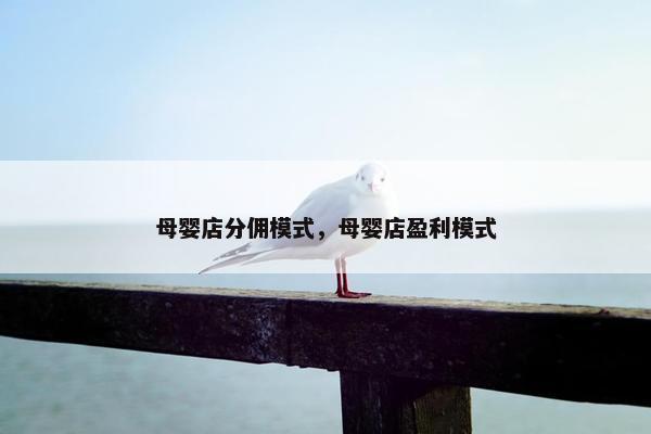 母婴店分佣模式，母婴店盈利模式