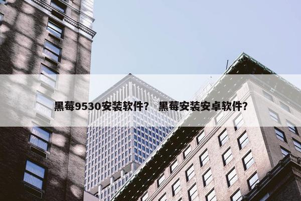黑莓9530安装软件？ 黑莓安装安卓软件？