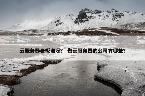 云服务器老板谁呀？ 做云服务器的公司有哪些？