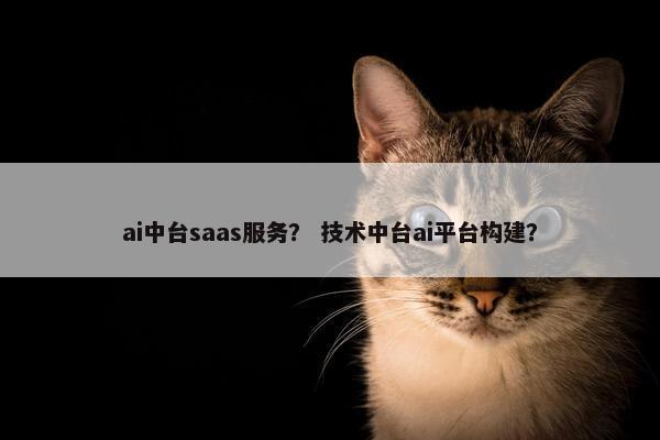 ai中台saas服务？ 技术中台ai平台构建？