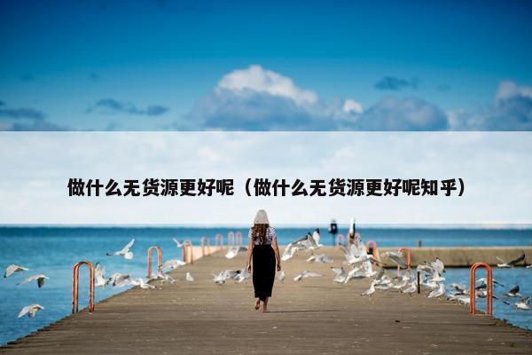 做什么无货源更好呢（做什么无货源更好呢知乎）