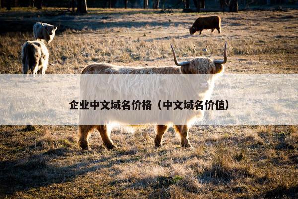 企业中文域名价格（中文域名价值）