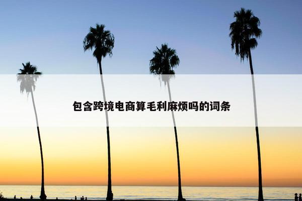 包含跨境电商算毛利麻烦吗的词条