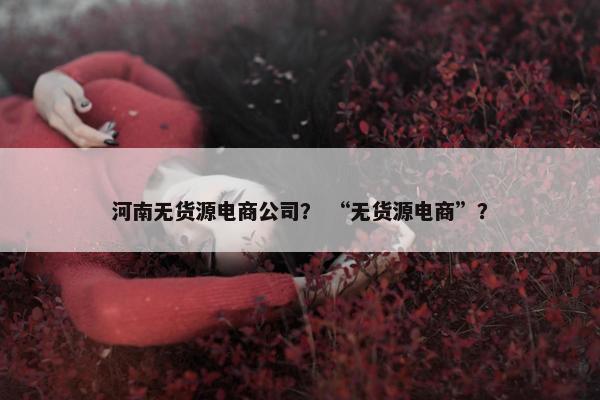 河南无货源电商公司？ “无货源电商”？