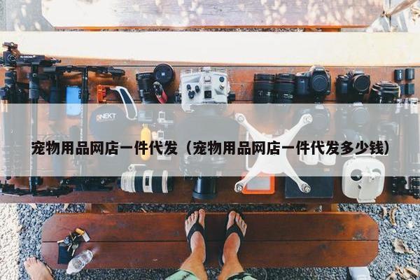 宠物用品网店一件代发（宠物用品网店一件代发多少钱）