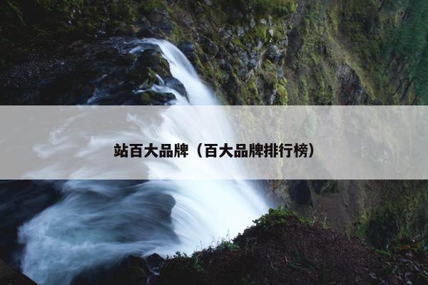 站百大品牌（百大品牌排行榜）