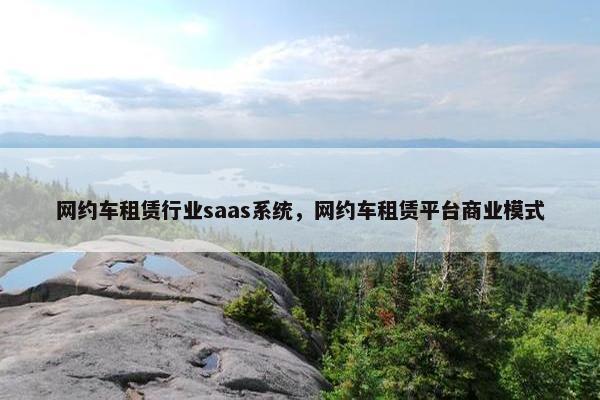 网约车租赁行业saas系统，网约车租赁平台商业模式