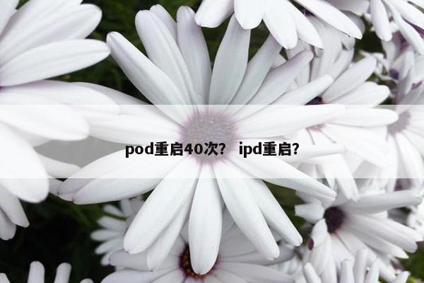 pod重启40次？ ipd重启？