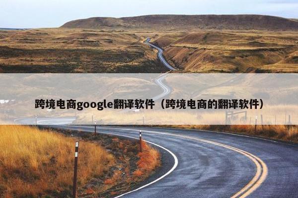 跨境电商google翻译软件（跨境电商的翻译软件）