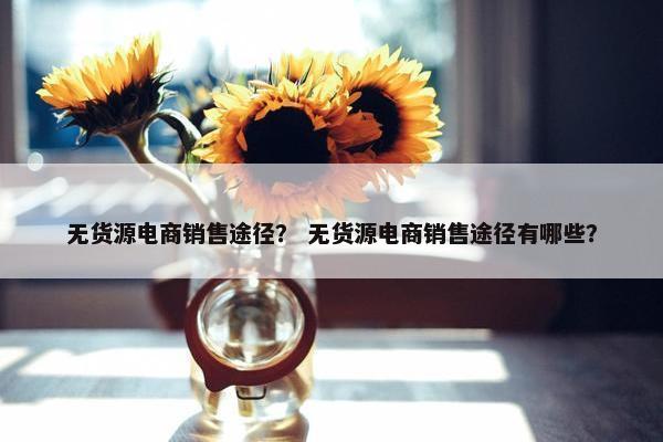 无货源电商销售途径？ 无货源电商销售途径有哪些？