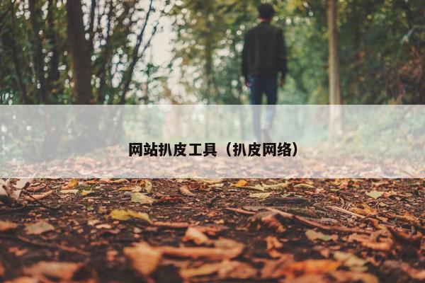 网站扒皮工具（扒皮网络）