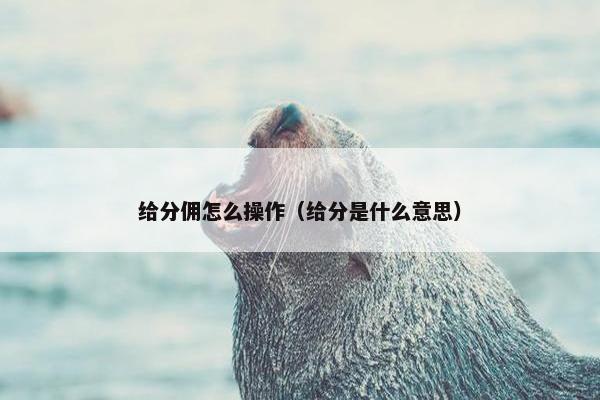 给分佣怎么操作（给分是什么意思）